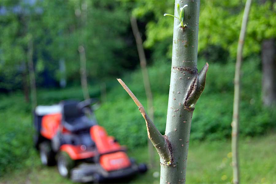 willow-ellipse - sculptures in the sculpture park, Open Air Museum POAM