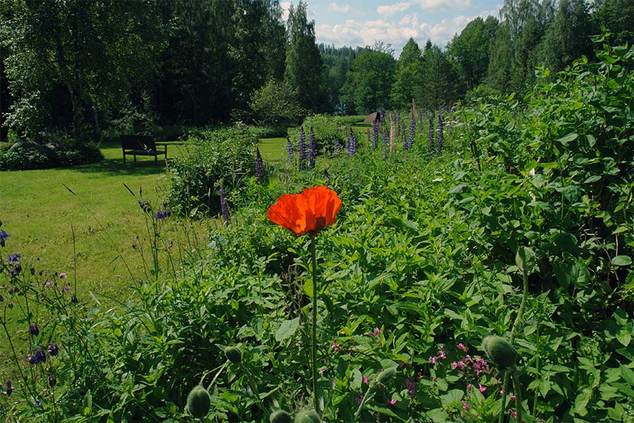 Cor-ten steel sculptures exhibited on the clearing (seen to the lake in the west).